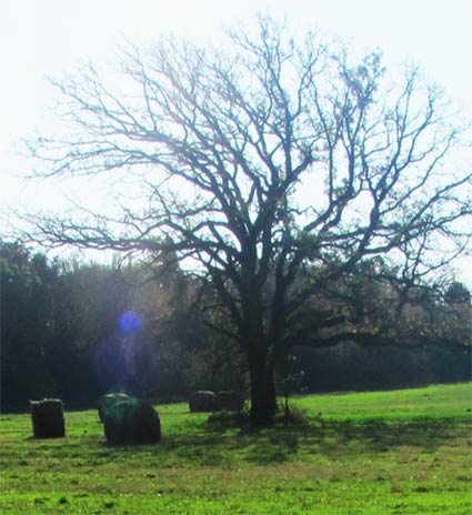 ghost photo taken in Elkhorn, Wisconsin