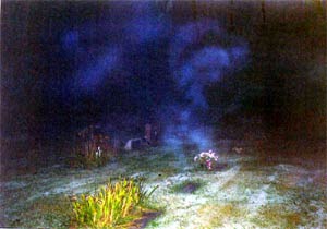 Ghost picture - Chesterland Cemetery, Chesterland, Ohio.