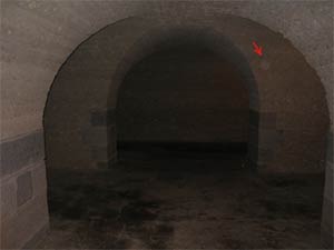 Ghost picture - Fort Pulaski, Savannah, Georgia.