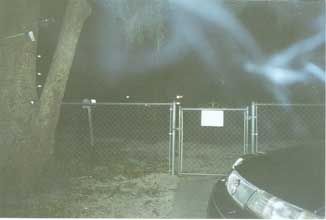 Plant City, Florida Ectoplasm Mist