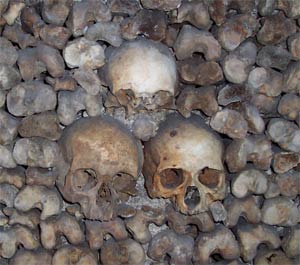 The Catacombs - Paris, France - Skeletons
